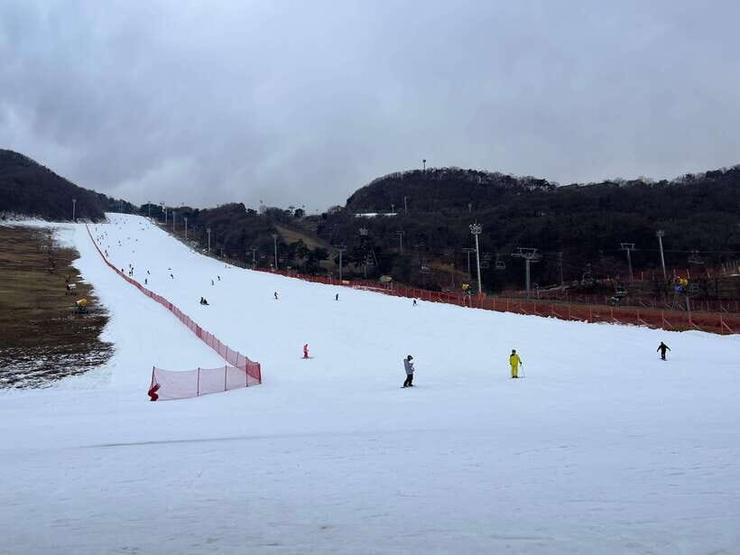 Jisan Forest Ski Resort One Day Tour - Tailoring Your Experience: From Freetime to Full Packages