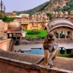 Jodhpur: Blue City Walking Tour - An In-Depth Look at the Jodhpur: Blue City Walking Tour