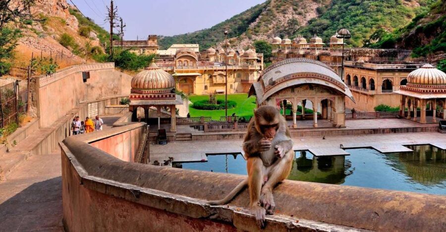 Jodhpur: Blue City Walking Tour - An In-Depth Look at the Jodhpur: Blue City Walking Tour