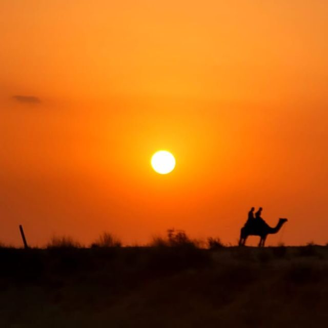 Jodhpur Camel Safari With Traditional Food With Sumer - Who Will Love This Tour?