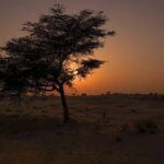 Jodhpur overnight desert camping with camel safari Jodhpur - Final Thoughts: Why This Experience Stands Out
