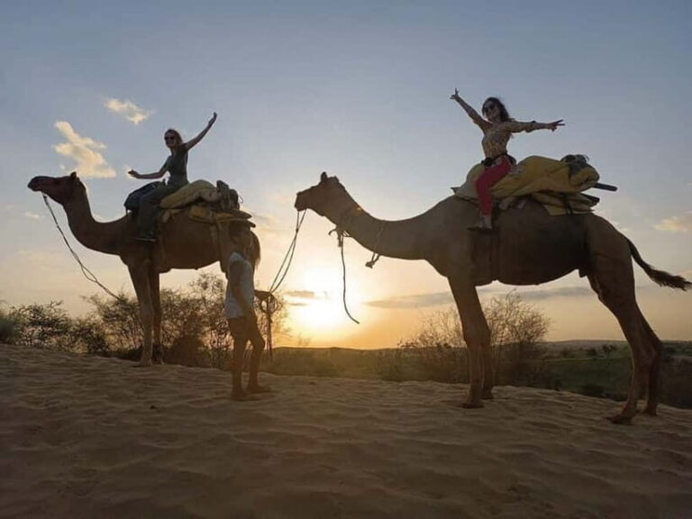 Jodhpur: Overnight Stay in Desert with Camel Safari - What’s Included & What to Consider