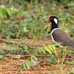 Johor: Desaru Coast Cycling - A Closer Look at Desaru Coast Cycling