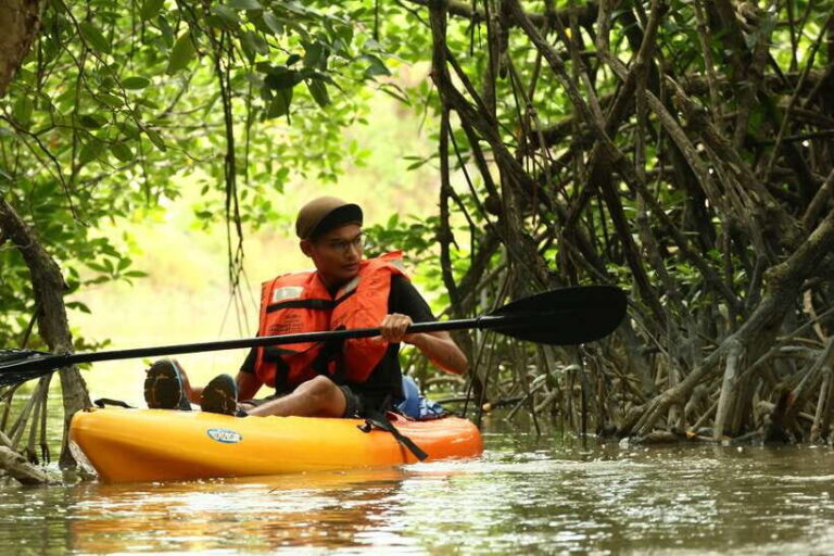 Johor: Sungai Lebam Kayaking with Transfer - The Itinerary in Detail