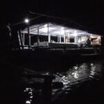 Joiners Firefly Watching Tour - Why This Tour Is a Great Fit