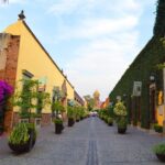 José Cuervo Tequila Day Experience from Guadalajara - Final Thoughts