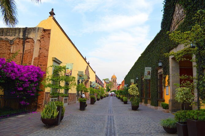 José Cuervo Tequila Day Experience from Guadalajara - Final Thoughts