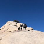 Joshua Tree National Park Driving Tour - Who Should Book This Tour?