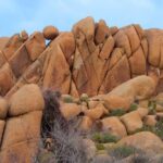 Joshua Tree National Park Scenic Tour - Who Would Enjoy This Experience?
