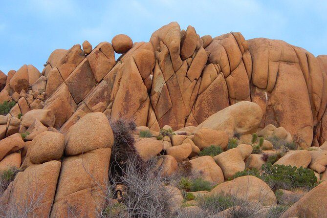 Joshua Tree National Park Scenic Tour - Who Would Enjoy This Experience?