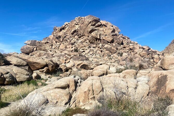 Joshua Tree Natural Wonders Walk: Plants, Animals and Rocks - The Value of a Guided Natural Experience