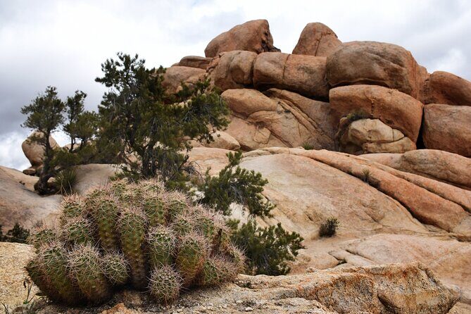 Joshua Tree's Hidden Valley Self-Guided Walking Tour - Final Thoughts on the Hidden Valley Self-Guided Tour