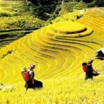 Journey Through Sapa Terraces & Traditions - A Detailed Look at the Itinerary