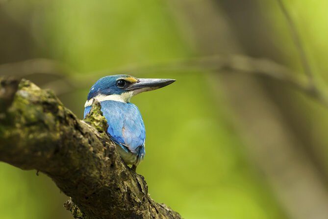 Junam Wetlands and Haeinsa Temple Tour - Who Is This Tour Best Suited For?