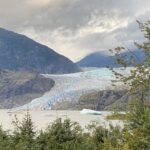 Juneau: Mendenhall Glacier and Whale Watching Tour - FAQ