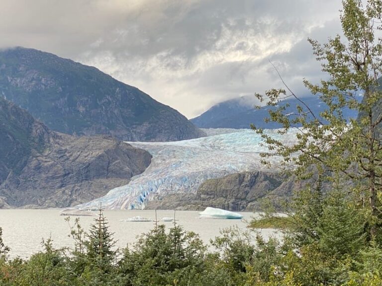 Juneau: Mendenhall Glacier and Whale Watching Tour - FAQ