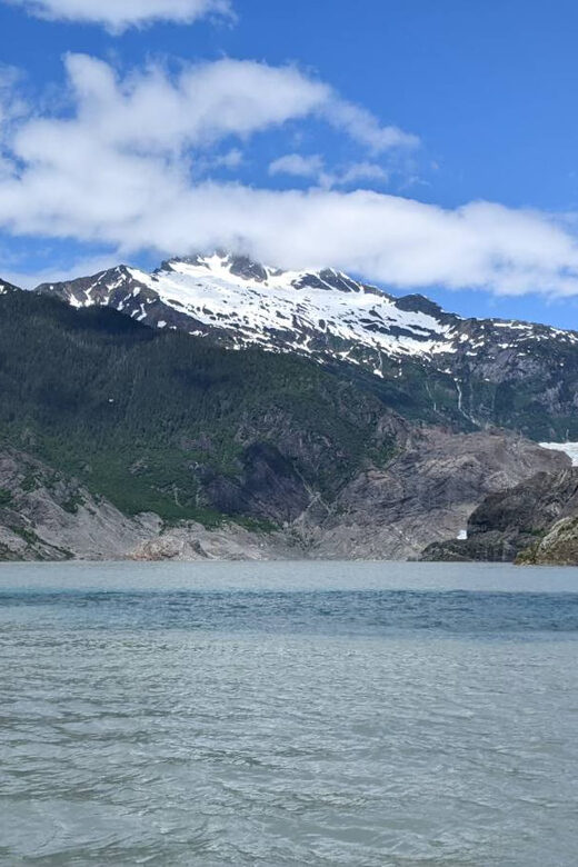 Juneau: Mendenhall Glacier Waterfall & Whale Watching Tour - Who Would Love This Tour?