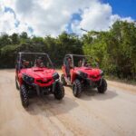Jungle Buggy Tour from Playa del Carmen Including Cenote Swim - Authenticity and Value
