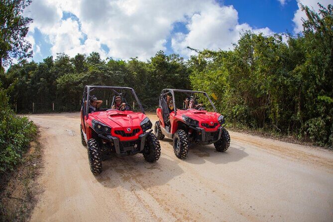 Jungle Buggy Tour from Playa del Carmen Including Cenote Swim - Authenticity and Value