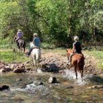 Jungle HorseBack Adventure to Las Palmas Waterfall All Included - Transportation, Group Size, and Practicalities