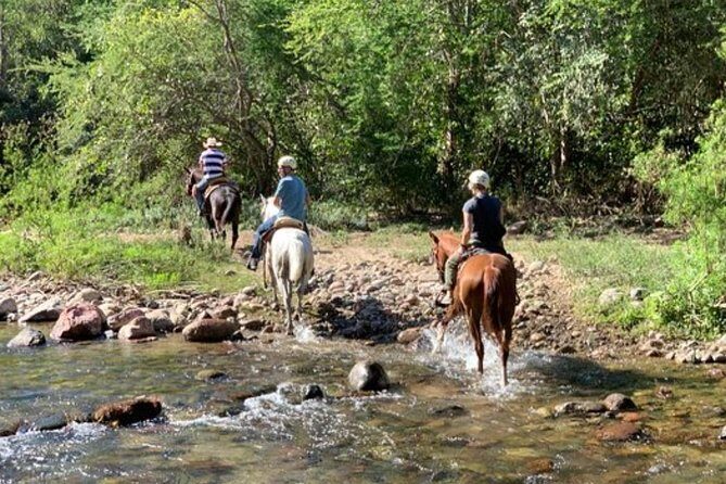 Jungle HorseBack Adventure to Las Palmas Waterfall All Included - Transportation, Group Size, and Practicalities