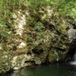 Jungle River Trek: private tour in Yanbaru, north Okinawa - Practical Tips for Your Jungle Adventure