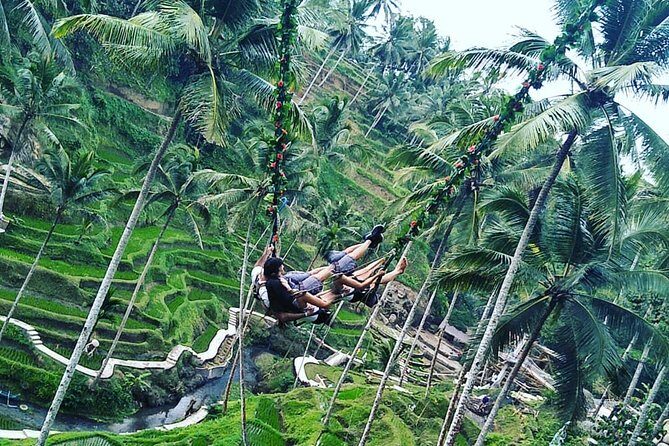 Jungle Swing & White Water Rafting Experience - A Detailed Look at the Jungle Swing & White Water Rafting Tour