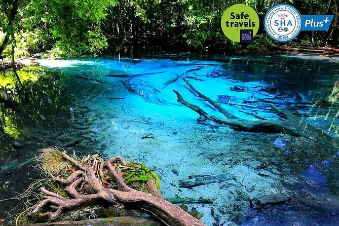 Jungle Tour to Emerald Pool, Krabi Hot Spring and Tiger Cave Temple - In-Depth Look at the Tour Experience