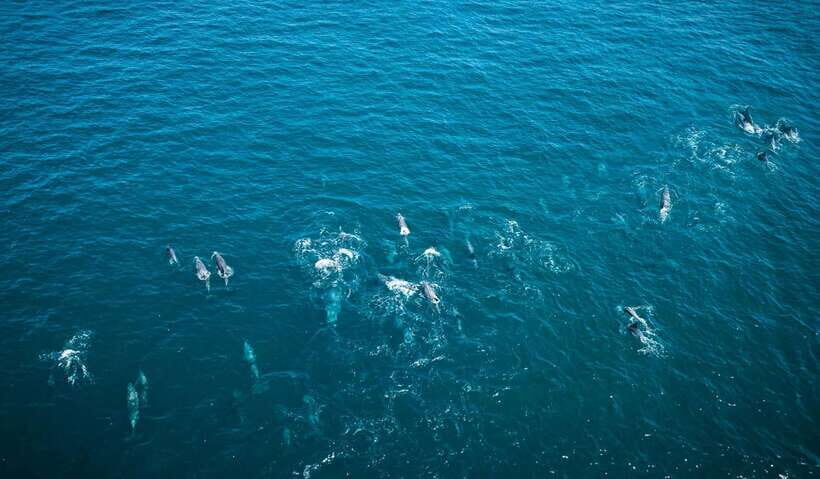 K-Drama Spot: Jeju Western Tour with Hotel Pickup - Final Thoughts