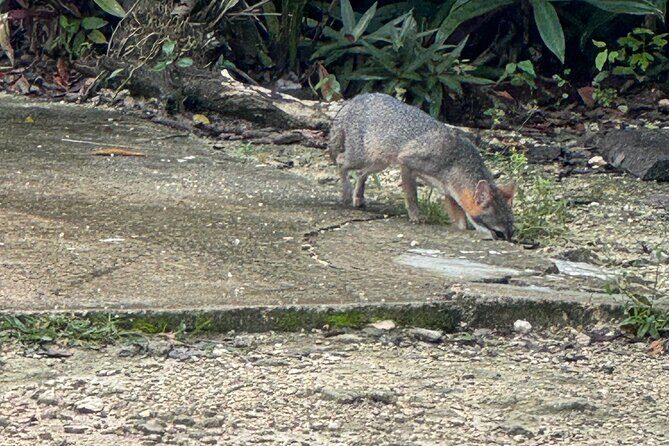 Kaan Luum Lagoon and Cenote Adventure - Who Will Appreciate This Tour?