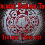 Kabukicho Macabre Tour - the Real Tokyo Vice - The Sum Up: Is It Worth It?