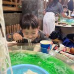 Kagoshima: Ibusuki City and Mount Kaimon Dake Tour - Exploring the Ibusuki and Mount Kaimon Tour