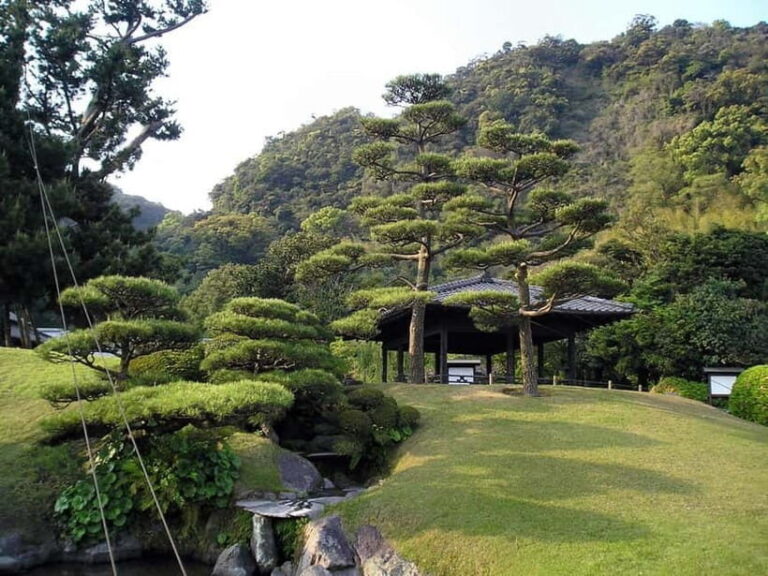 Kagoshima: Nature, Samurai and Hot Springs Tour - Practical Details and Tips