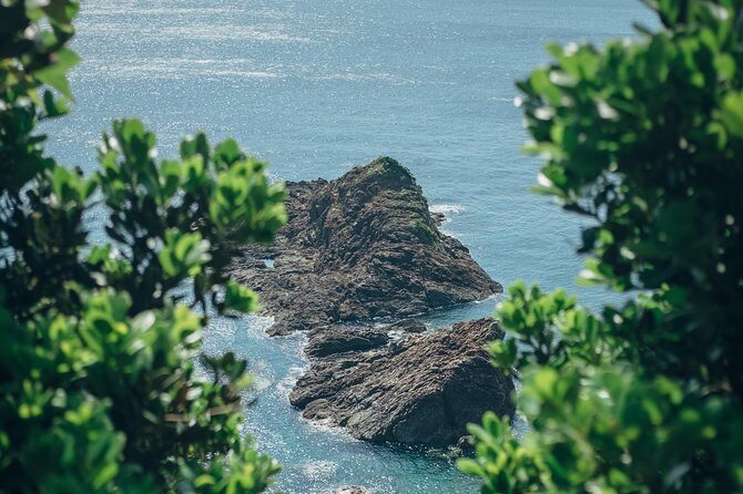 Kagoshima Private Customizable Half Day Tour - Practical Details and Tips