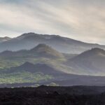 Kahului Shore Excursion: Private Tropics of Maui & Rainforest - In-Depth Review of the Kahului Shore Excursion