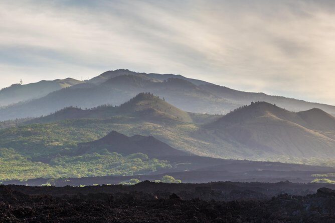 Kahului Shore Excursion: Private Tropics of Maui & Rainforest - In-Depth Review of the Kahului Shore Excursion