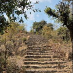 Kakani - Shivapuri Village Trek - What’s Included & What to Consider