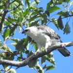 Kalapathar Sunrise, Birdwatching and Village Tour - FAQ