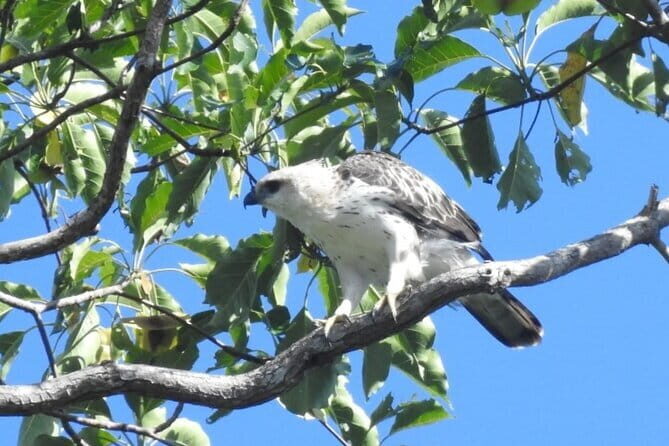 Kalapathar Sunrise, Birdwatching and Village Tour - FAQ