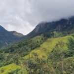 Kalupahana: Horton Plains Foothill Trail Guided Hike - The Value of This Tour