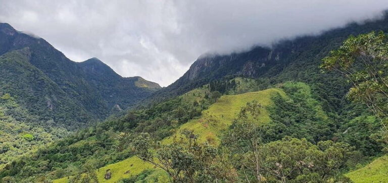 Kalupahana: Horton Plains Foothill Trail Guided Hike - The Value of This Tour