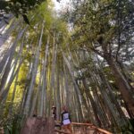 Kamakura and Enoshima: Private Guided Day Tour with Vehicle - Enoshima Island: Scenic and Cultural Highlights