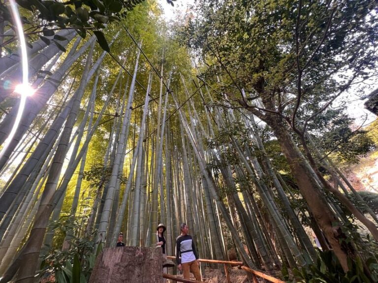Kamakura and Enoshima: Private Guided Day Tour with Vehicle - Enoshima Island: Scenic and Cultural Highlights
