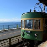 Kamakura Bamboo Forest and Great Buddha Private Tour - Why This Tour Offers Great Value