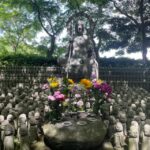 Kamakura: Craft Music Box & Discover Japan's Biggest Buddha! - Detailed breakdown of the itinerary