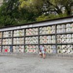 Kamakura; First Samurai Capital walking tour - Practical Tips for Making the Most of Your Tour