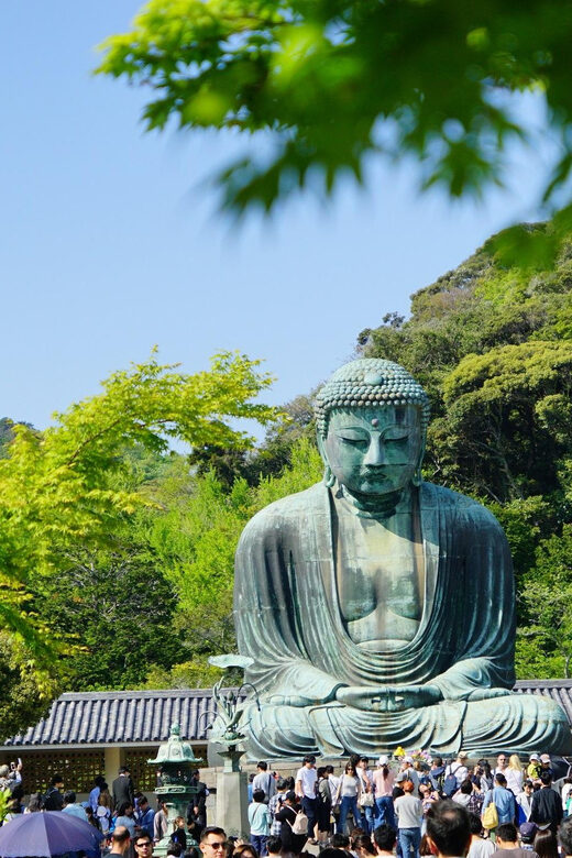 Kamakura Half Day Walking Tour with Local Experience - Transportation & Cost Analysis