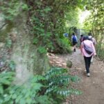 Kamakura: Hiking with Private Guide in Spanish - Why This Tour Provides Great Value