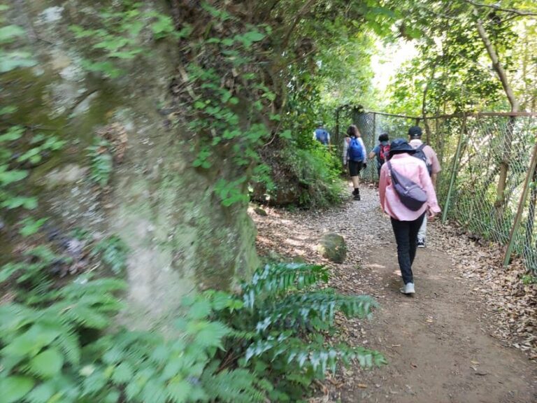 Kamakura: Hiking with Private Guide in Spanish - Why This Tour Provides Great Value
