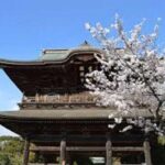 Kamakura Private Custom Tour - A Deep Dive into the Itinerary